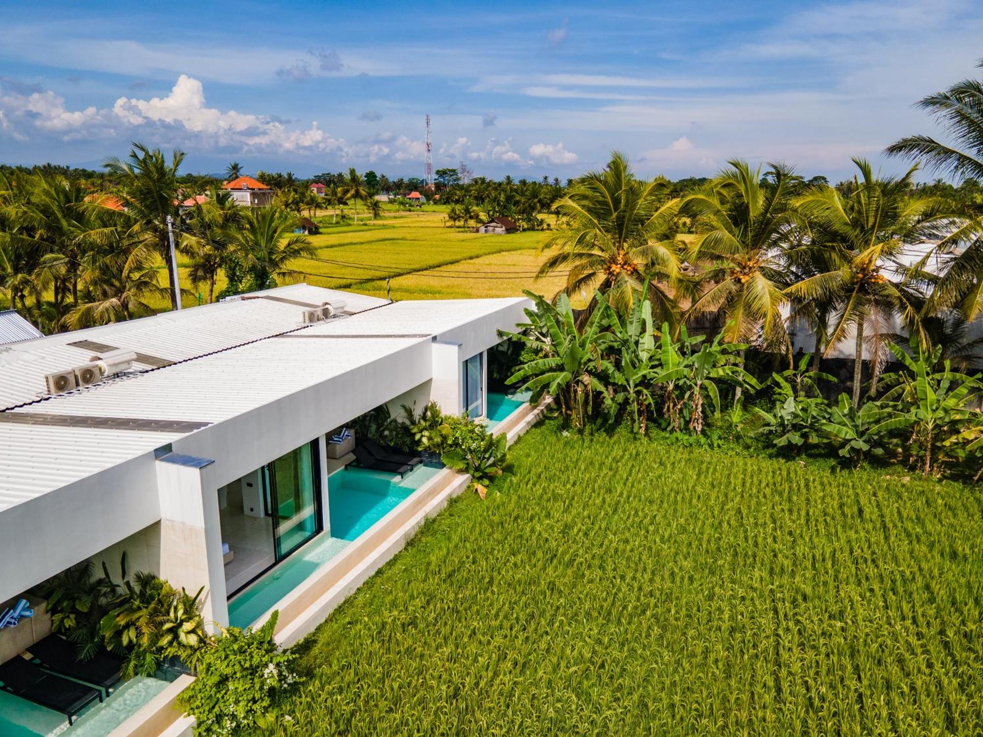 Green Flow Ubud Villas III Oda fotoğraf