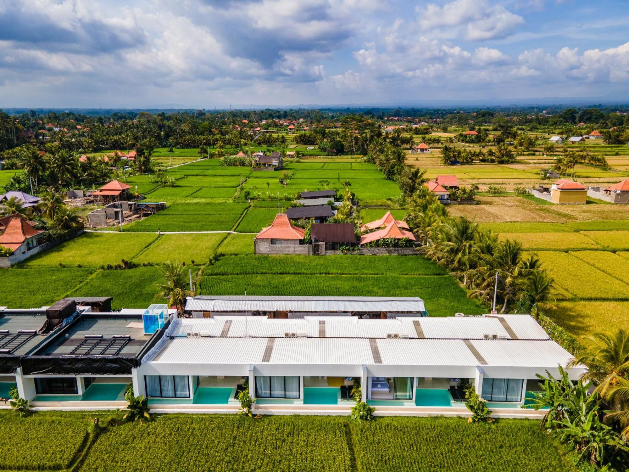 Green Flow Ubud Villas III Oda fotoğraf
